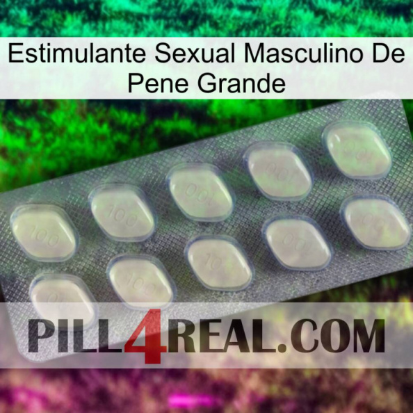 Big Penis Male Sexual Stimulant 08.jpg